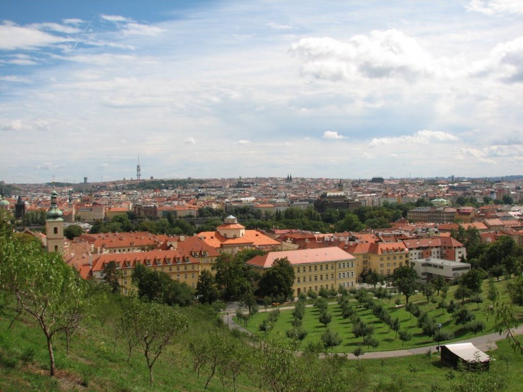 Viel Grün